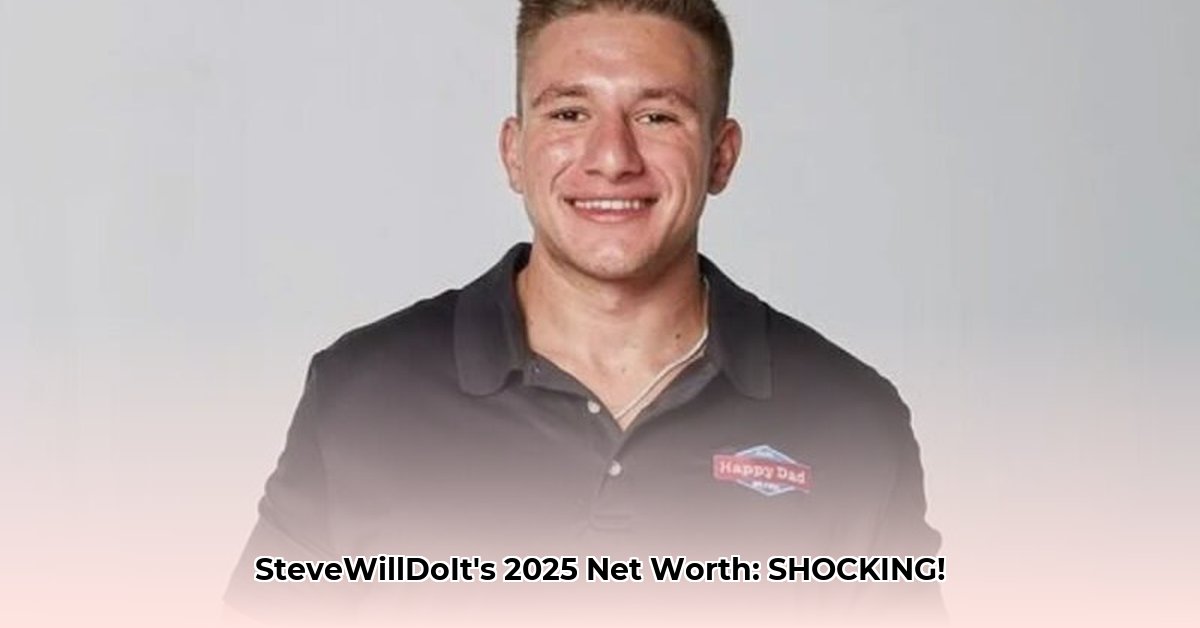 what-is-steve-will-do-it-net-worth